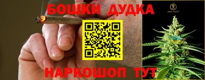 шишки Можайск