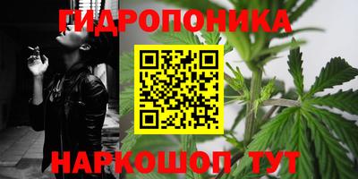 прущие грибы Можга