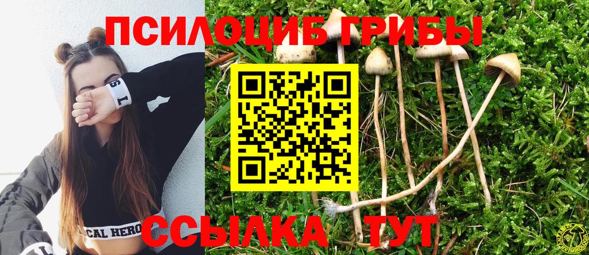 Псилоцибиновые грибы GOLDEN TEACHER Печора